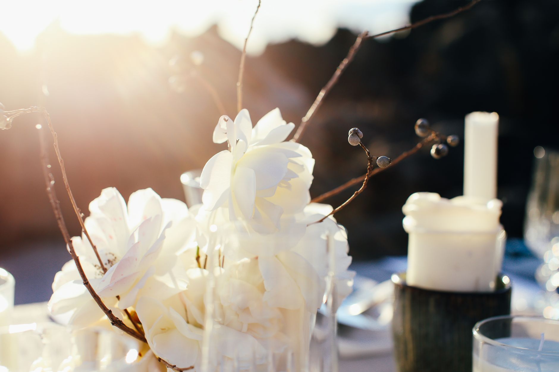 Celebrations of Life